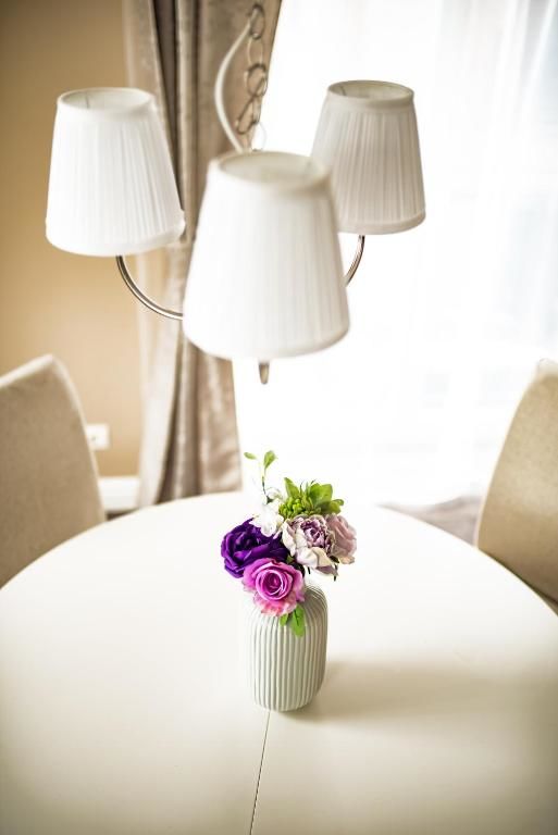 Апартаменты Royal Sauna Apartments Клайпеда-20